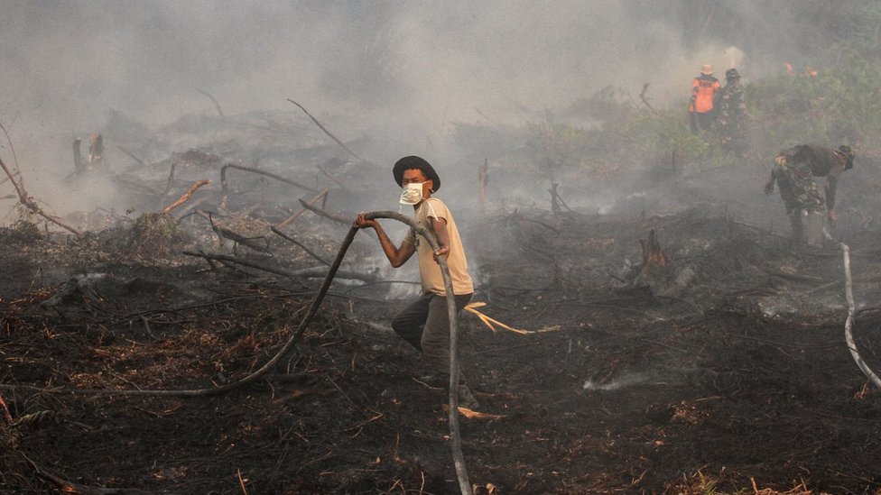 Asap Tebal Selimuti Sumatera: Kebakaran Hutan Meluas, Tim Gabungan Turun Tangan